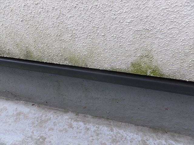 苔が生えたリシン仕上げの壁